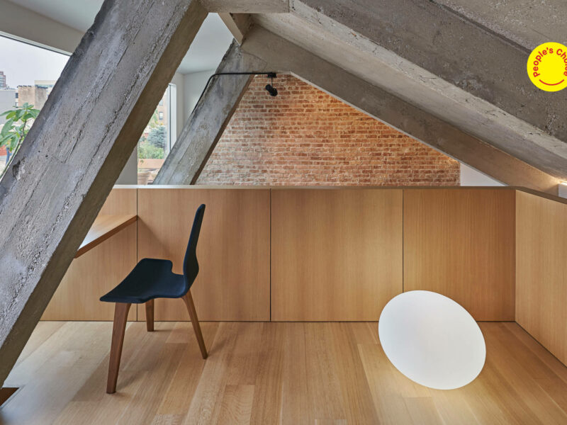 Michigan Loft, AZ Awards 2019, Vladimir Radutny Architects