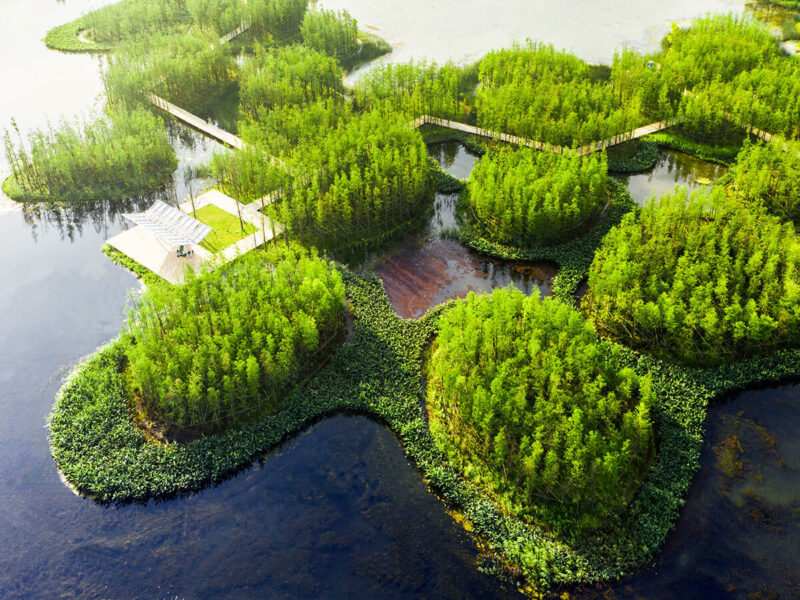 AZ Awards 2022 Winner & People's Choice: Floating Forest Fish Tail Park in Nanchang City by Turenscape