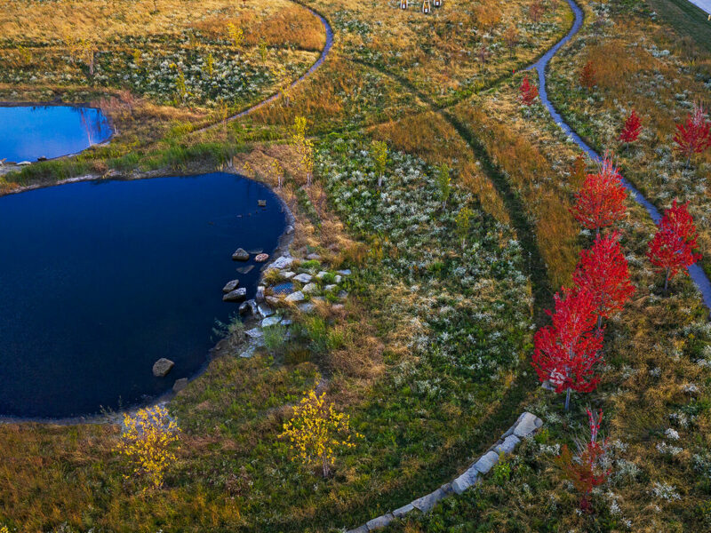 AZ Awards 2022 Finalist: Meadow + Forest: Restoring Habitats by OJB