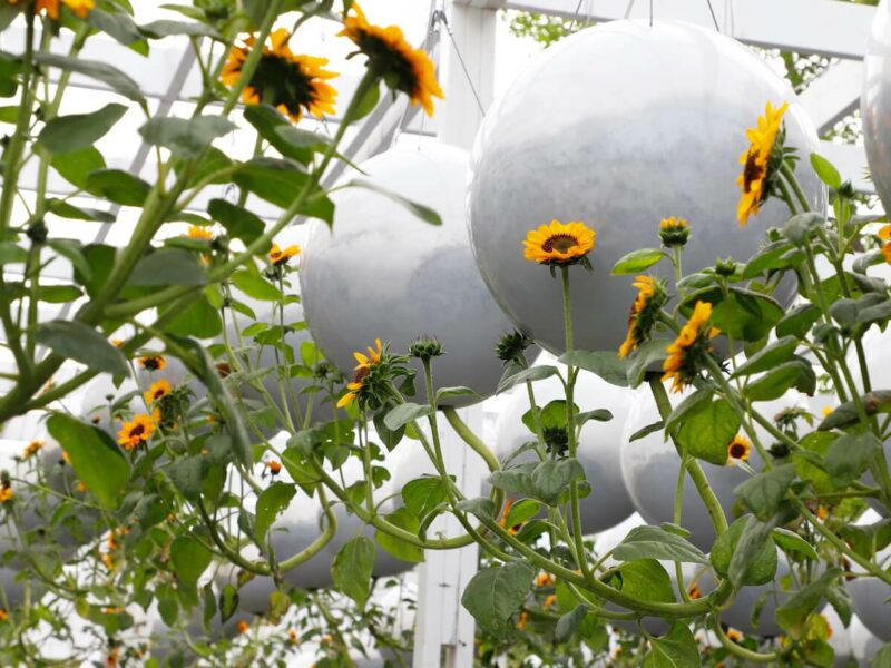 Gravity Field by Terrain Work at Jardins de Métis